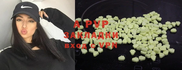крисы Абаза