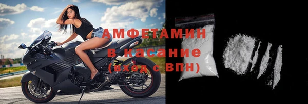крисы Абаза