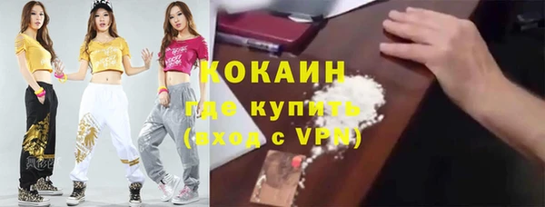 крисы Абаза