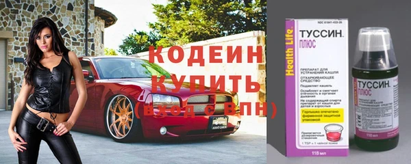 крисы Нязепетровск