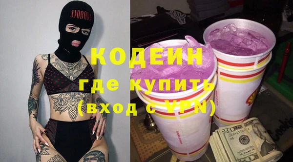 крисы Абаза
