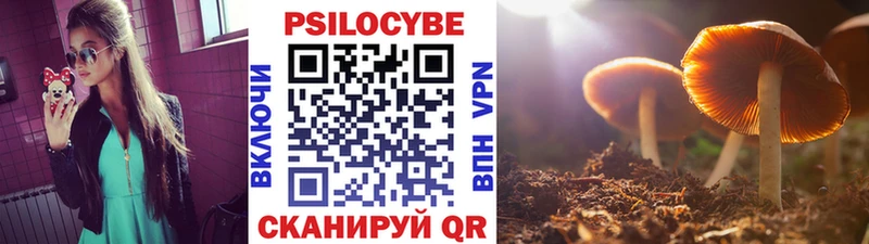 mega как войти  цена   Ильский  Псилоцибиновые грибы Magic Shrooms 