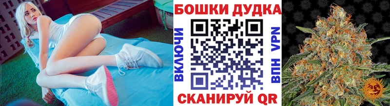 Каннабис SATIVA & INDICA  где купить наркоту  Ильский 